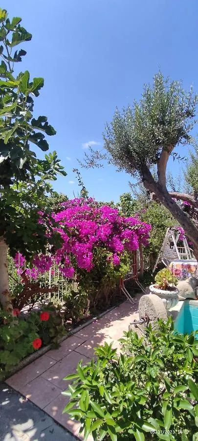 Bed and Breakfast La casa di Mariù Furnari Italia